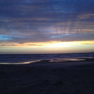 Meet your Posher, Shelby